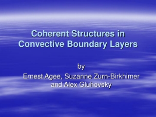 Coherent Structures in Convective Boundary Layers