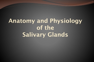 Anatomy and Physiology of the Salivary Glands