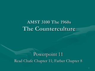AMST 3100 The 1960s The Counterculture