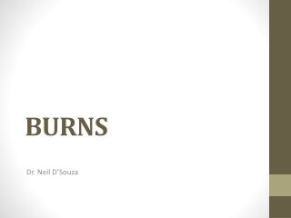 BURNS