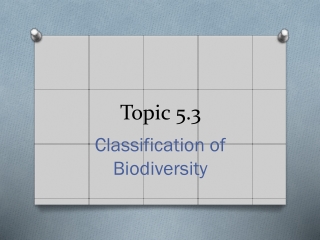 Topic 5.3