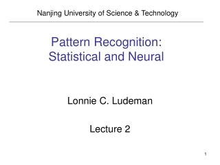 Pattern Recognition: Statistical and Neural