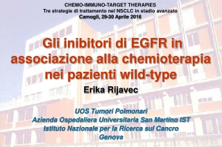 Gli inibitori  di EGFR in  associazione alla chemioterapia nei pazienti  wild-type