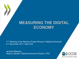 measuring the digital economy