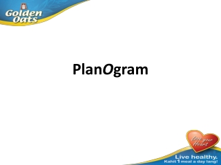 Plan O gram