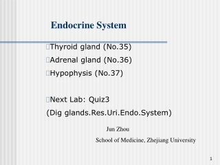 Endocrine System