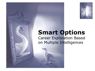 Smart Options Career Exploration Based on Multiple Intelligences