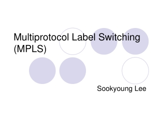 Multiprotocol Label Switching (MPLS)