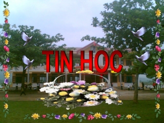 TIN HỌC