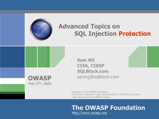 Advanced Topics on 	SQL Injection  Protection