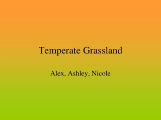 Temperate Grassland