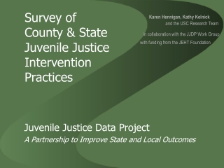 Survey of  County &amp; State Juvenile Justice Intervention Practices