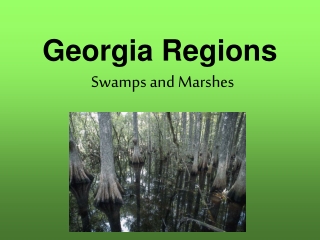 Georgia Regions