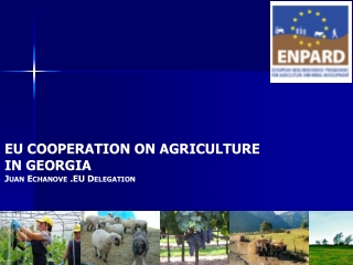 EU COOPERATION ON AGRICULTURE  IN GEORGIA Juan Echanove .EU Delegation