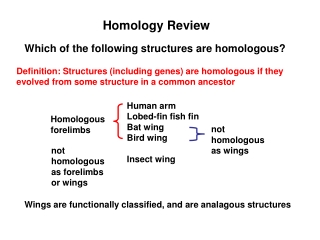Homology Review
