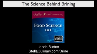 Jacob Burton StellaCulinary/Brine