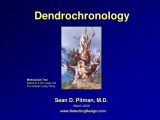 Dendrochronology