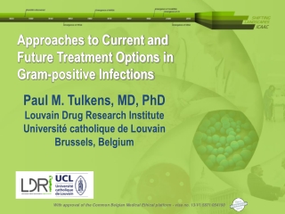 Approaches to Current and Future Treatment Options in Gram-positive Infections