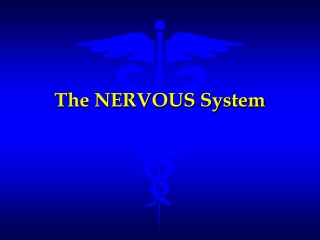 The NERVOUS System