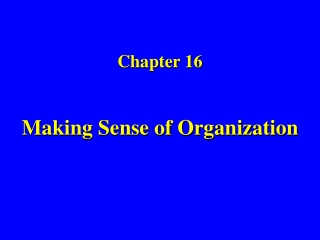 Chapter 16 Making Sense of Organization
