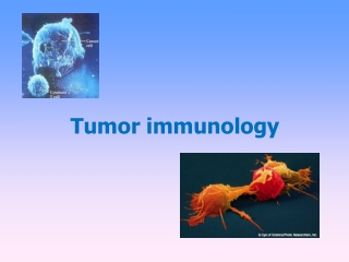Tumor immunology