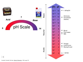 pH Scale