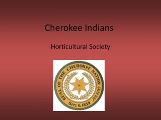 Cherokee Indians