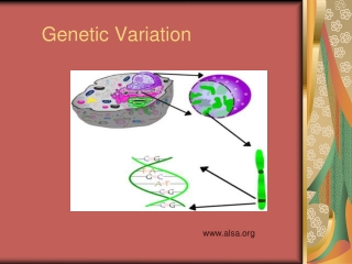 Genetic Variation