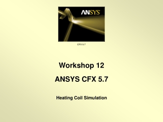 Heating Coil Simulation