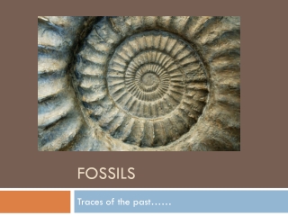 Fossils