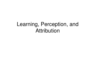 Learning, Perception, and Attribution