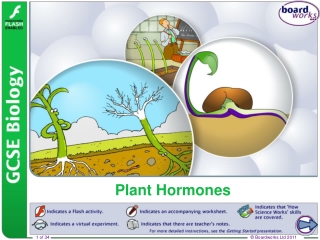 Plant Hormones