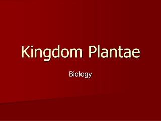 Kingdom Plantae