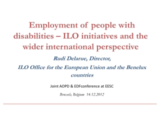 Employment of people with disabilities – ILO initiatives and the wider international perspective
