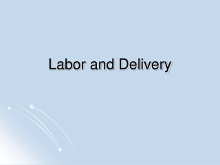 Labor and Delivery