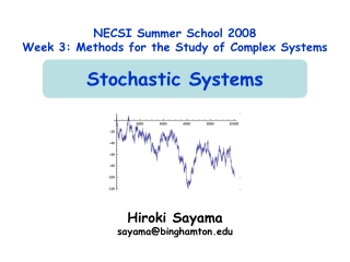 NECSI Summer School 2008 Week 3: Methods for the Study of Complex Systems Stochastic Systems