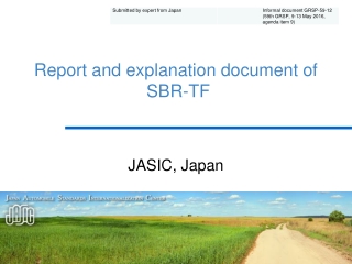 Report and explanation document of  SBR-TF