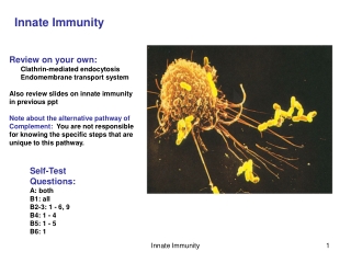 Innate Immunity
