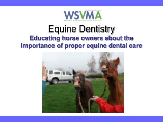 Equine Dentistry Educating horse owners about the importance of proper equine dental care