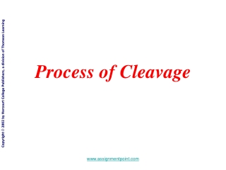Process of Cleavage