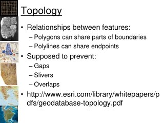 Topology