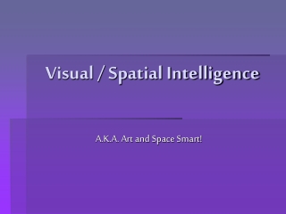 Visual / Spatial Intelligence