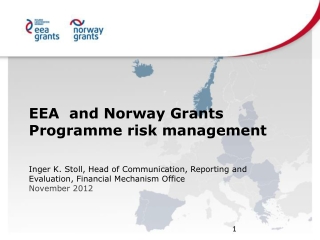 EEA  and  Norway  Grants Programme  risk  management