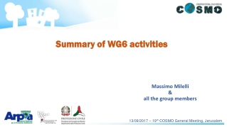 Summary of WG6 activities