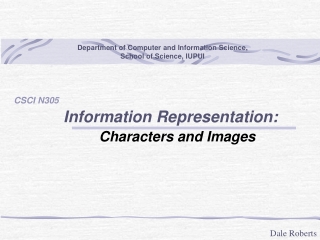 Information Representation: Characters and Images