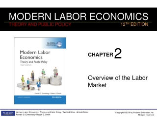 Overview of the Labor Market