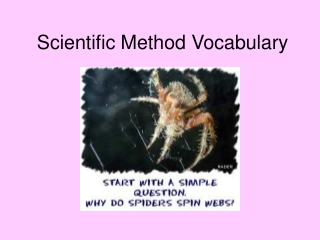 Scientific Method Vocabulary