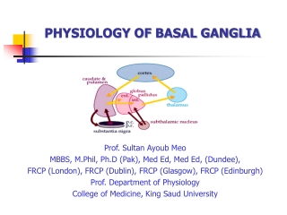 PHYSIOLOGY OF BASAL GANGLIA