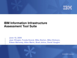 IBM Information Infrastructure  Assessment Tool Suite