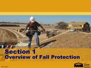 Section 1 Overview of Fall Protection